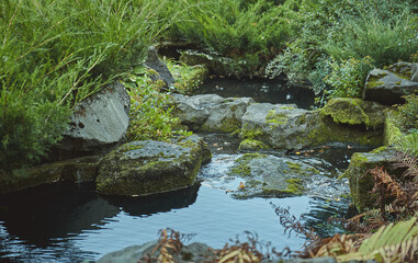 Fototapeta na wymiar Small pond, surrounded by mossy rocks
