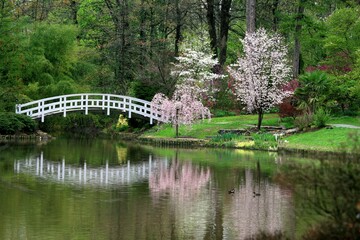 Duke Garden at Spring time, durham,nc