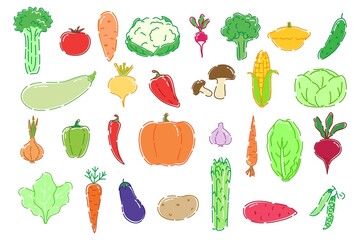 Tasty colorful set of vegetable in flat and line-art style for print, banner or postcard. Vector illustration
