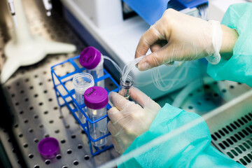 Scientific manipulating a test tube in a laboratory