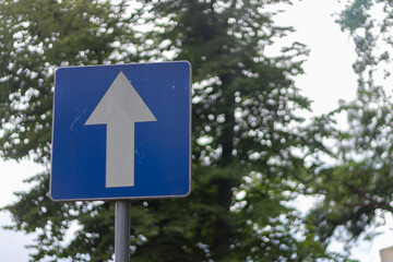 One-way traffic sign in the city on the background of trees