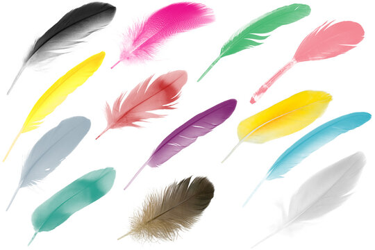 Colorful collection feathers floating in air isolated on white background