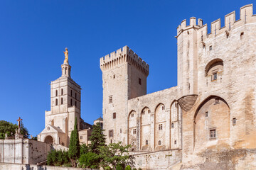 Fototapeta na wymiar Beautiful view of the Palace of the Popes in the city of Avignon and Cathedral Of Our Lady of Doms