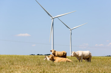 landscapes of French brittany