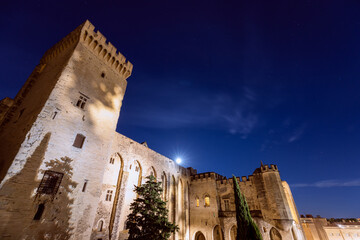 Beautiful night view of the Palace of the Popes with the rising moon in Avignon city