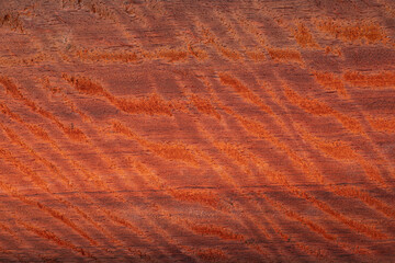 Naklejka premium Burma padauk wood has tiger stripe or curly stripe grain