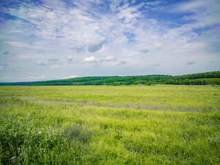 Obraz premium A beautiful bright green field and a beautiful landscape.
