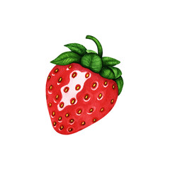 Watercolor red strawberry with green leaves. Fresh sweet food, dessert, berry illustration. Hand drawn element isolated on white background for design print, poster, frame, card, pattern, invitation