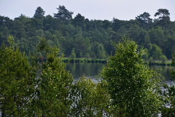 Fototapeta na wymiar Grundloser See, Walsrode, Niedersachsen