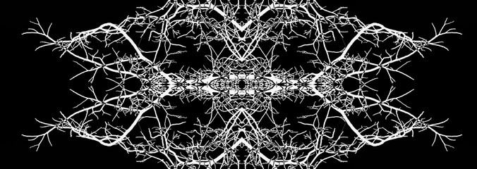 A black and white image of a symmetrical pattern that looks like branches of a tree.