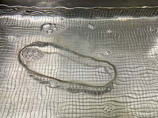  silver necklace is cleaned in an ultrasonic bath