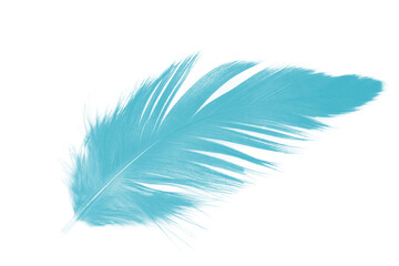 Fototapeta premium Beautiful green turquoise colors tone feather isolated on white background