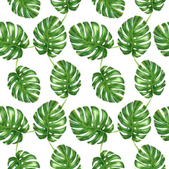 Watercolor monstera leaves hand drawn seamless  pattern.