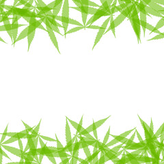 Frame formed with hemp leaves isolated on white background. Green cannabis leaves background. Drug marijuana herb leaves shapes with copyspace for text.