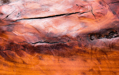 wood texture background