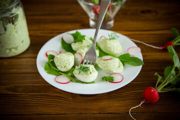 boiled stuffed eggs with green cheese filling with arugula leaves and radish