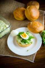 Homemade bun with cheese spread, fresh arugula and boiled egg in a plate