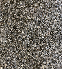 black striped sunflower seeds, close-up, on a store counter. Proper nutrition, snacks. Striped seeds, close-up. Food for the mind, healthy eating, vegetarianism, raw food diet
