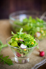 Spring salad from early vegetables, lettuce leaves, radishes and herbs in a plate on the table