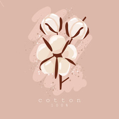 Cotton on an isolated background. Vectra with the flowers of cotton. The concept of textiles, naturalness, eco. Flat illustration. Vector.