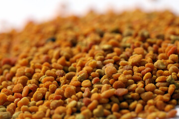 Propolis Bienen Blütenpollen