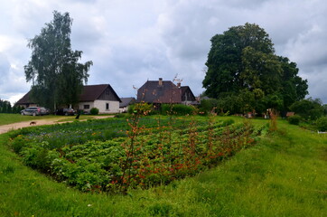 Naklejka na ściany i meble Beautiful vegetable garden with home in the background