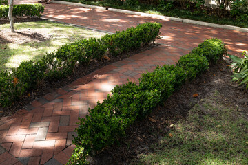 Brick sidewalk and walkway in a residential neighborhood, low shrubs and grass with filtered sunlight, horizontal aspect