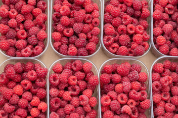 fresh raspberries in containers