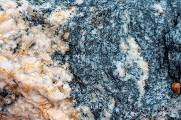 Sea stone texture. Panel texture. Background fill. Natural stone background.