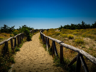 Fototapeta na wymiar Dune path on the beach in Italy