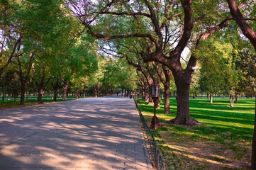 path in the park