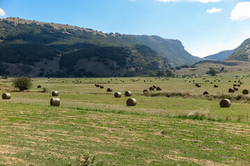 Several rolls of straw distributed in a large field, with mountain valley in the background, commune of Ovindoli, Abruzzo region, province of L´aquila, Italy