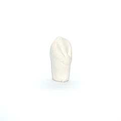 Plaster model of a maxillary canine tooth