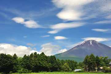 夏の新緑美しい富士山