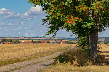 Windpark
