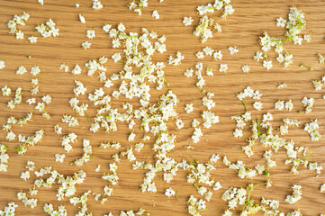 Elderberry flowers on wood background. Alternative medicine, copy space for text or inscription