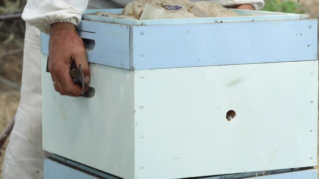Beekeeper opens hive, smokes on bees from smoker.