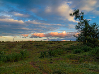 sunset over the field