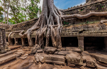 Iconic tree root at Ta Prohm temple, growing over the facade in Siam Reap Cambodia