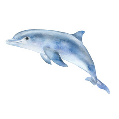 Blue dolphin isolated on white background. Watercolor. Illustration. Template. Close-up. Clipart. Greeting card design. Sea life, marine animals. Ocean day. Children's room, baby shower © Yuliia