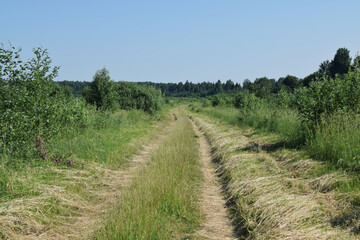 Fototapeta na wymiar rural road in the field