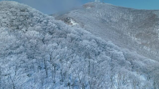 Fairy winter forest covered with frost and snow on top of hills Far East Russia. Clouds fog. Beautiful nature landscape, taiga. Sunny day blue sky. Travel. Aerial flight fast forward over crowns. 4k