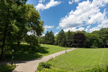 Fototapeta na wymiar Empty Path with Green Grass at Central Park during Summer in New York City on a Beautiful Day