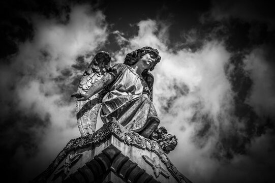 sculture - monumenti - arte -  angeli - pietra