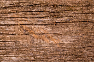 Old natural wood background. Natural wood.