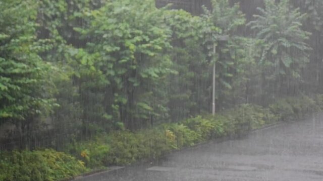 Heavy rain　～大雨
