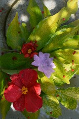 
Flowers in a basin of water