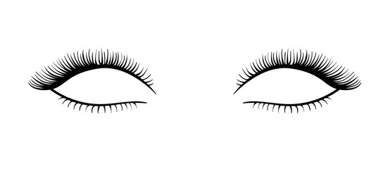 Beautiful long vector black eyelashes illustration isolated on white background