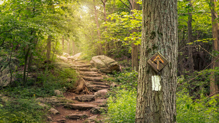 Rock steps along the Appalachian Trail in Stokes State Forest New Jersey - obrazy, fototapety, plakaty
