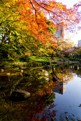 小石川後楽園の紅葉